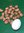 500 botanische Krokusse Mix Gr.5/7 Blumenzwiebeln (ideal für die Wiese)