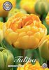 20 Tulpen Blumenzwiebeln, späte gefüllte Tulpe "Yellow Pomponette" Gr. 10/11